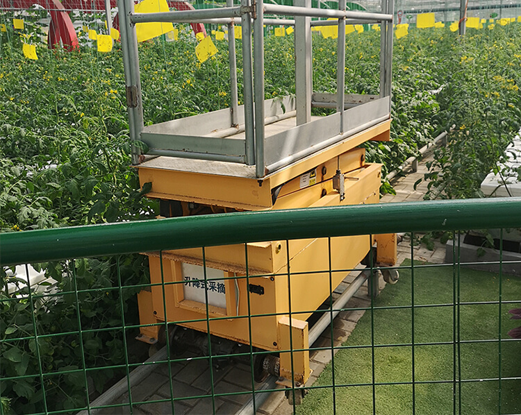 Orchard Picking Platform Lift